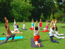 Find Yoga Classes all over the World