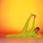 Meru Akaranasana