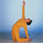 Ushtrasana