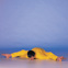 Kurmasana