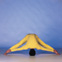 Pada Prasara Puranutthanasana
