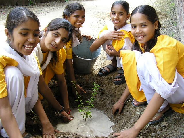 Jadan_trees