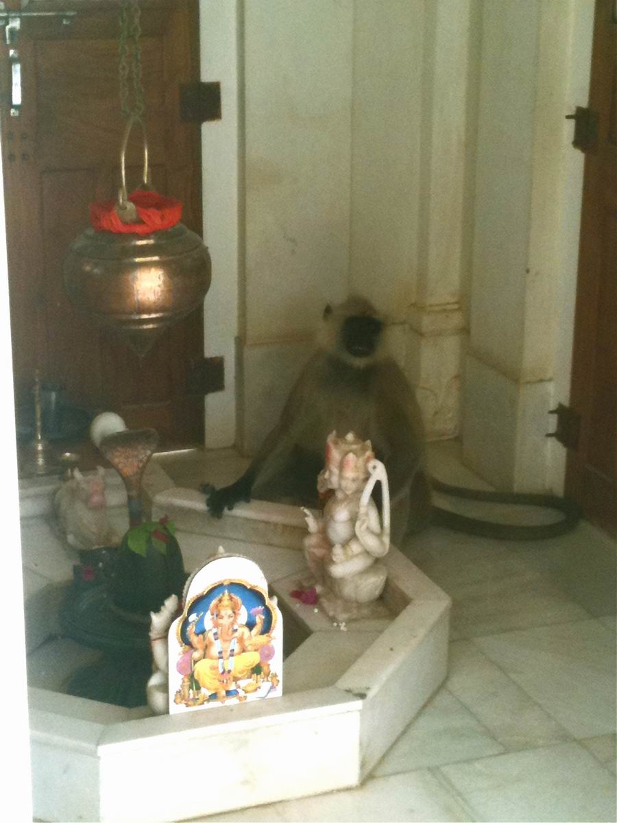 Samadhi of a monkey in Bari Khatu ashram