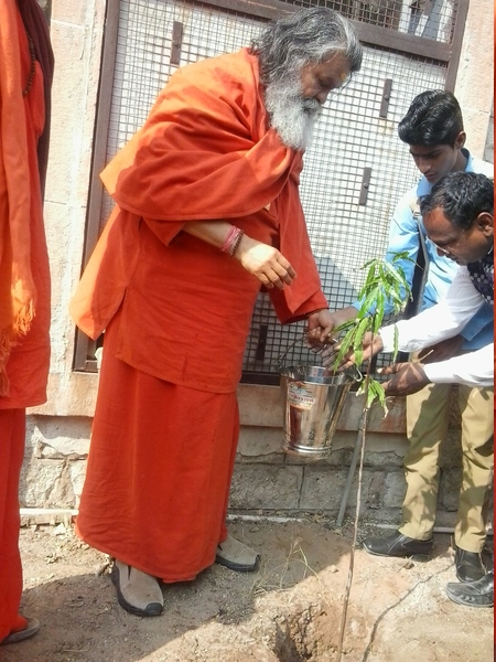 Peace Tree Planting in Pali on 15 January 2014