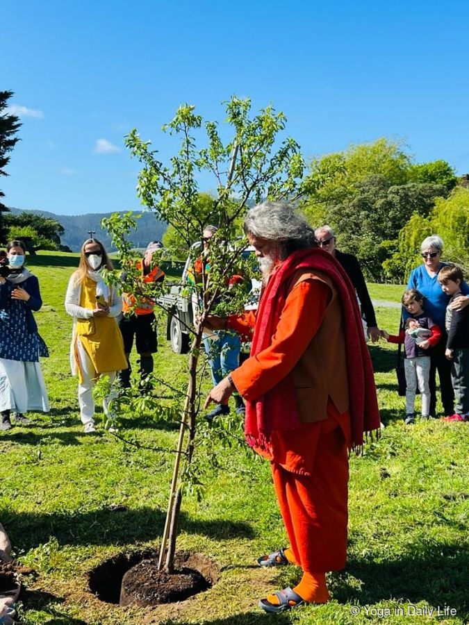 yoga in daily life nz1 wm