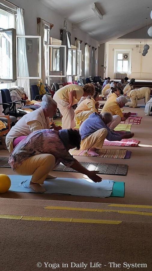 3.2. strilky asanas wm