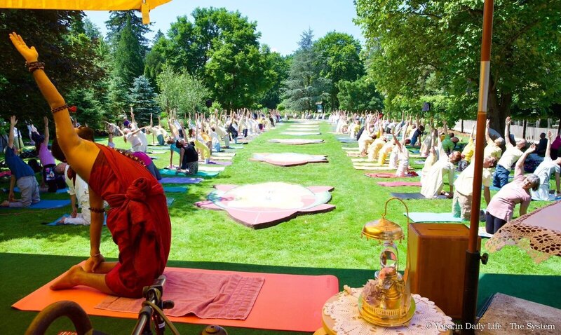 10. 2026.6.21 mg asanas wm