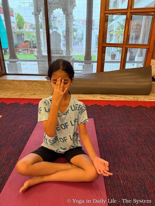 2.6. 2026. idy india jaipur wm