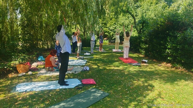 idy 2 netherlands wm
