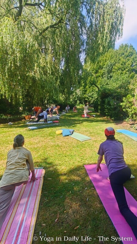 idy 3 netherlands wm