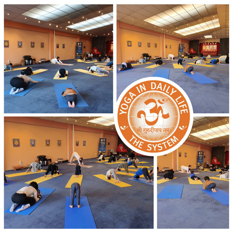 1.3. nz wellington children yoga