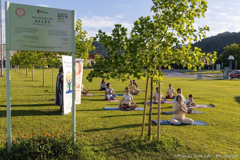 3.3. 2026 idy samobor croatia wm