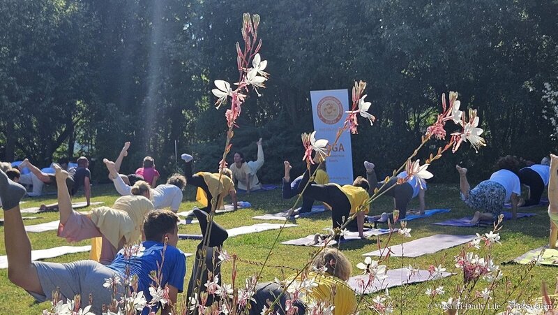 9.1. 2026 idy jusž rijeka wm