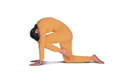 Asanas and Exercises to Increase Flexibility of the Spine