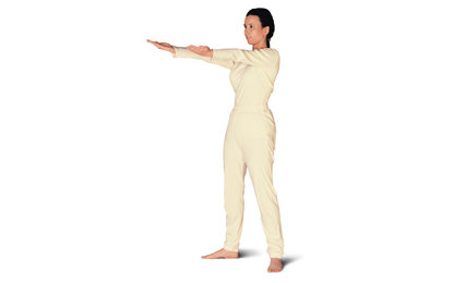 1 – 1/11 Sarva Hita Asana Bending and Straightening the Arms