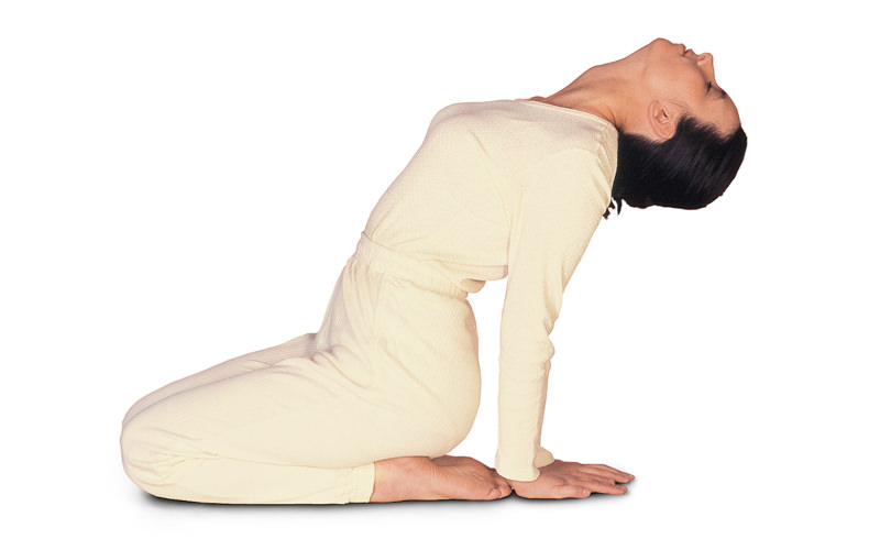 Top 6 Stretches for Lower Back Problems | Desert Spine
