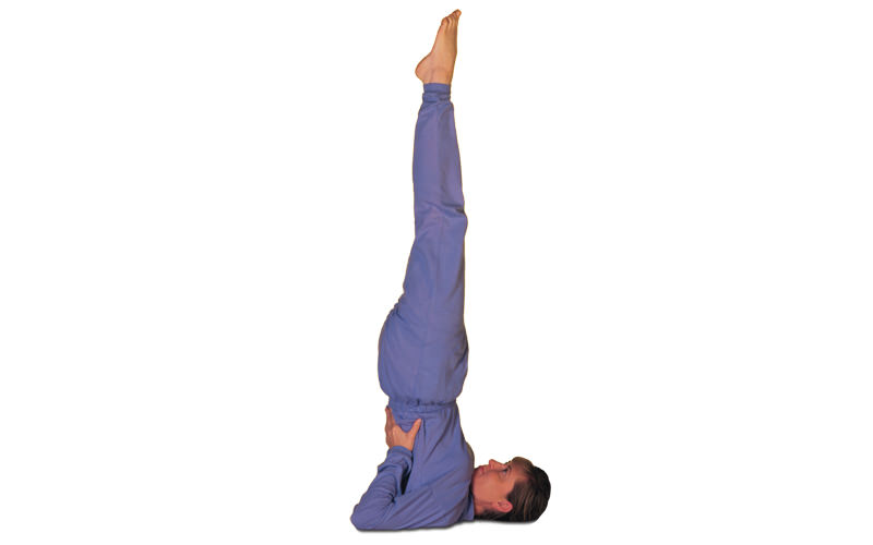 Yoga Salamba Sarvangasana Shoulder Stand Pose Stock Image  Image of care  male 19282493