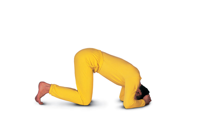 Sirsasana : tout savoir sur la posture sur la tête en yoga • Namaste