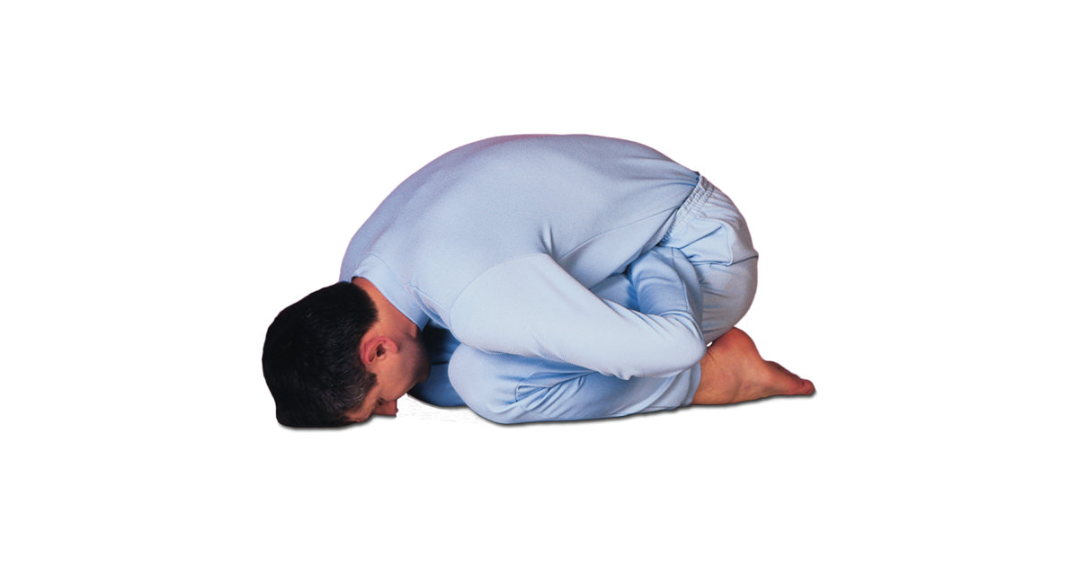 Yoga Mudra Yoga Mudra