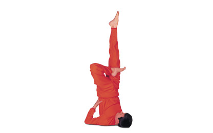 8 – 13 Ardha Padma Sarvangasana Half Lotus in Shoulderstand