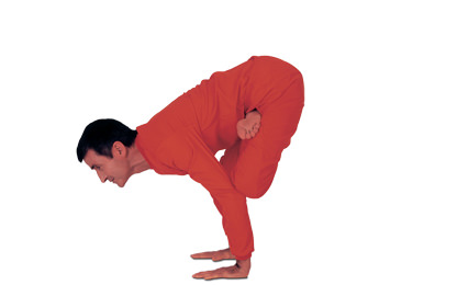 8 – 12 Padma Bakasana Daru lótuszban